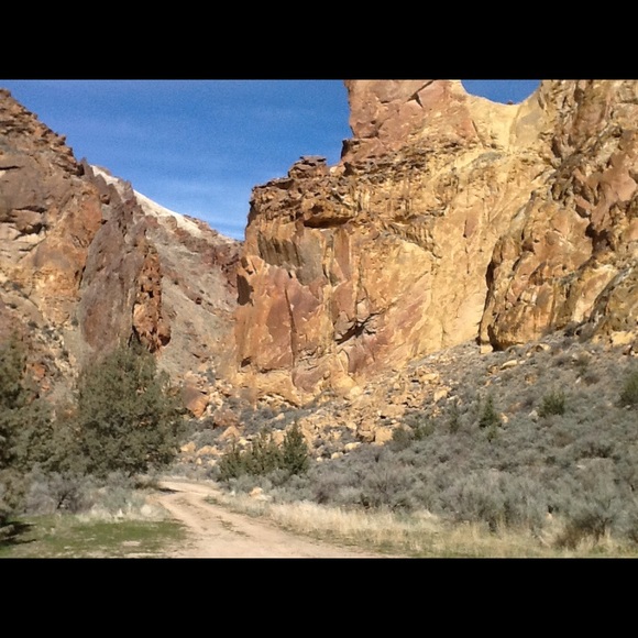 Meet your Posher, Renee - Picture 3 of 3